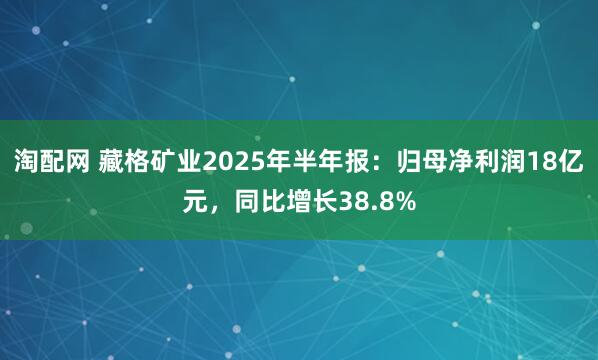 淘配网 藏格矿业2025年半年报：归母净利润18亿元，同比增长38.8%