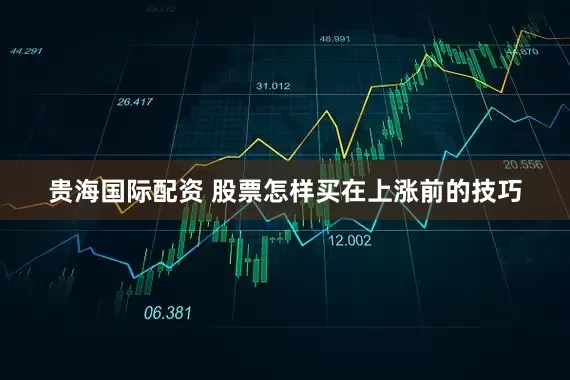 贵海国际配资 股票怎样买在上涨前的技巧